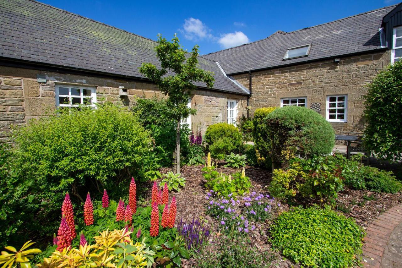 Home Farm B&B - Poppy Room Forfar Exterior foto